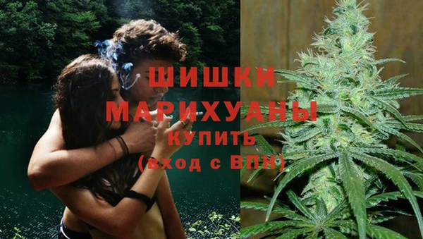 дмт Аркадак