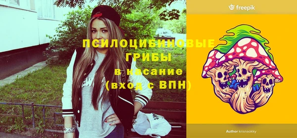 дмт Аркадак