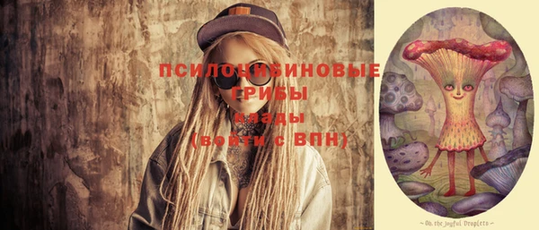 apvp Арсеньев