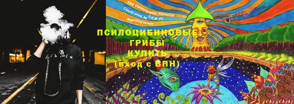apvp Арсеньев